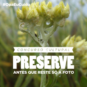 Concurso OPA