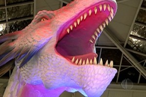 dragao