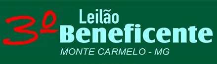 Leilão em prol Hospital do Câncer