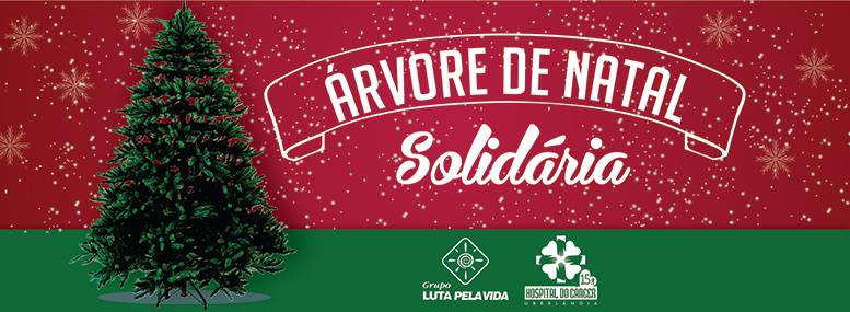 Montagem Árvore de Natal