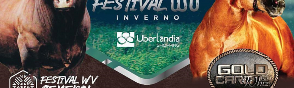 Festival WV Inverno