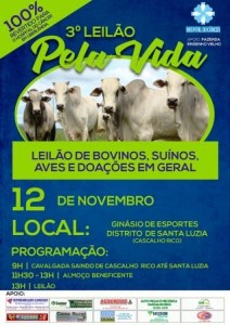 5b3a1af5-be10-461b-9088-6248fc74b30c