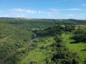DCIM/101MEDIA/DJI_0046.JPG