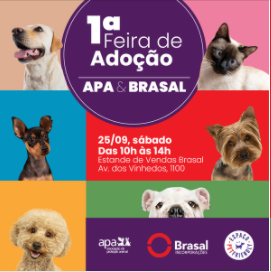 apa