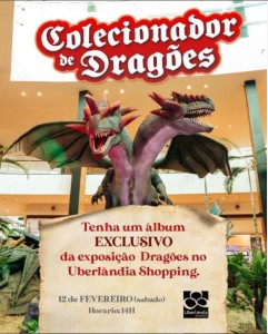 colecionador